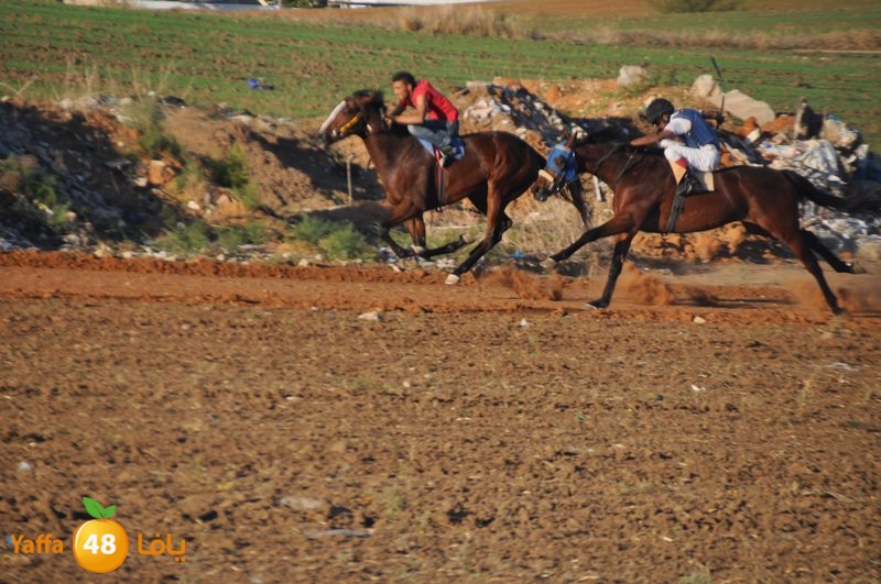 Khowoyouls ramala (12).JPG